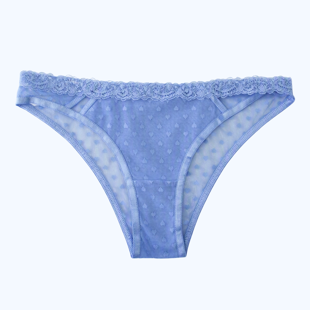 PANTY DE ENCAJE &amp; MESH IP7469
