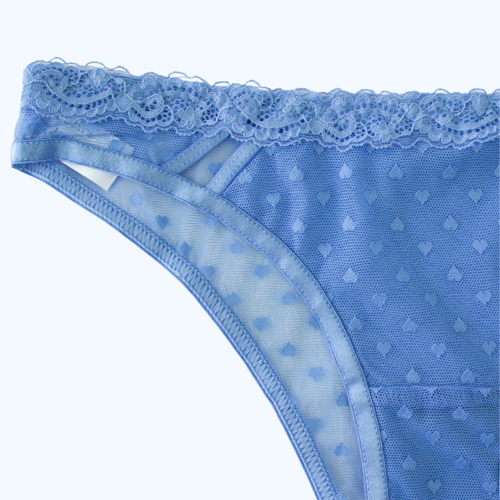 PANTY DE ENCAJE &amp; MESH IP7469