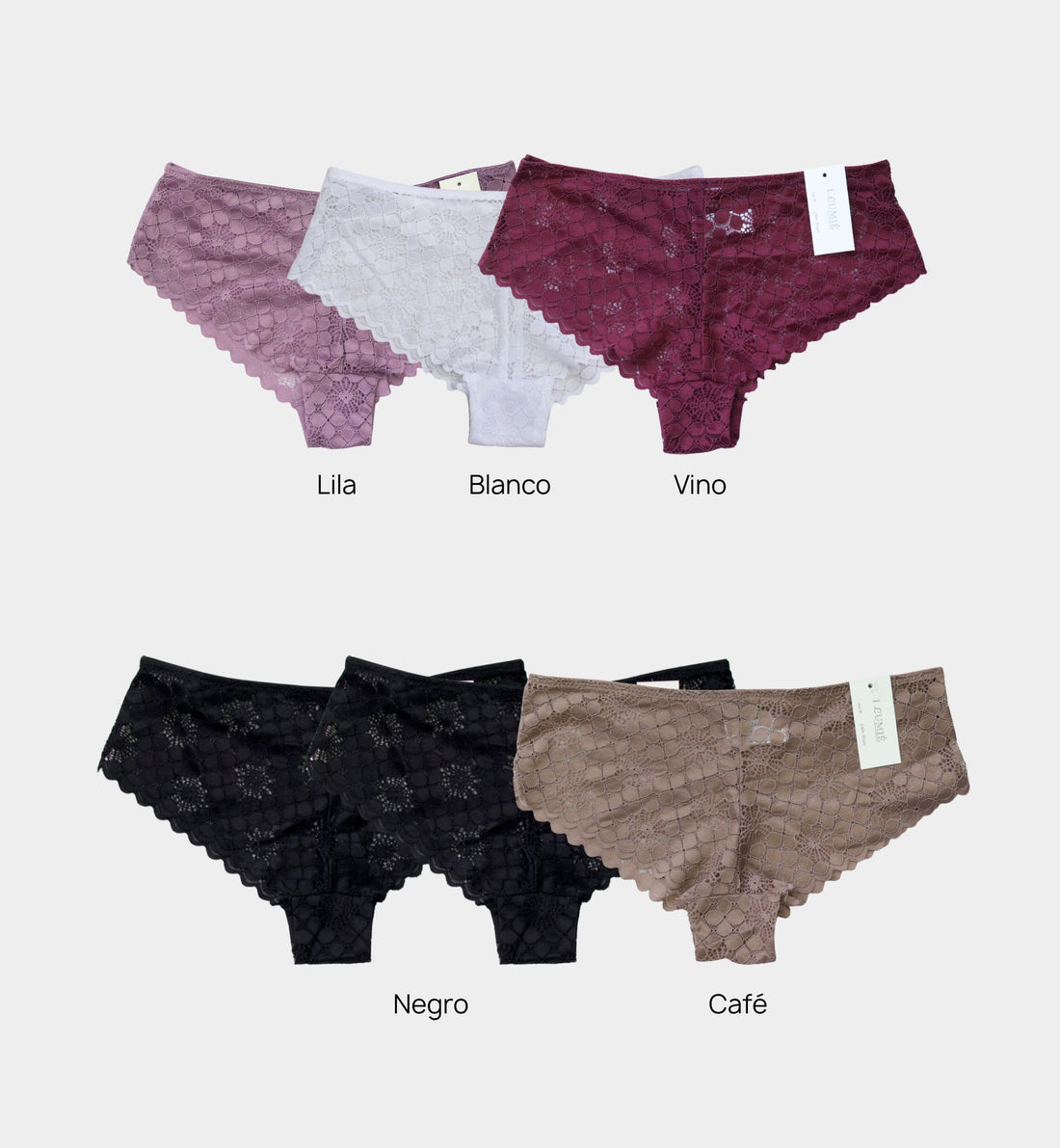 PANTY CACHETERO DE ENCAJE IP7407