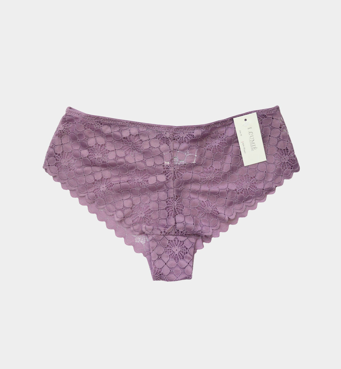 PANTY CACHETERO DE ENCAJE IP7407