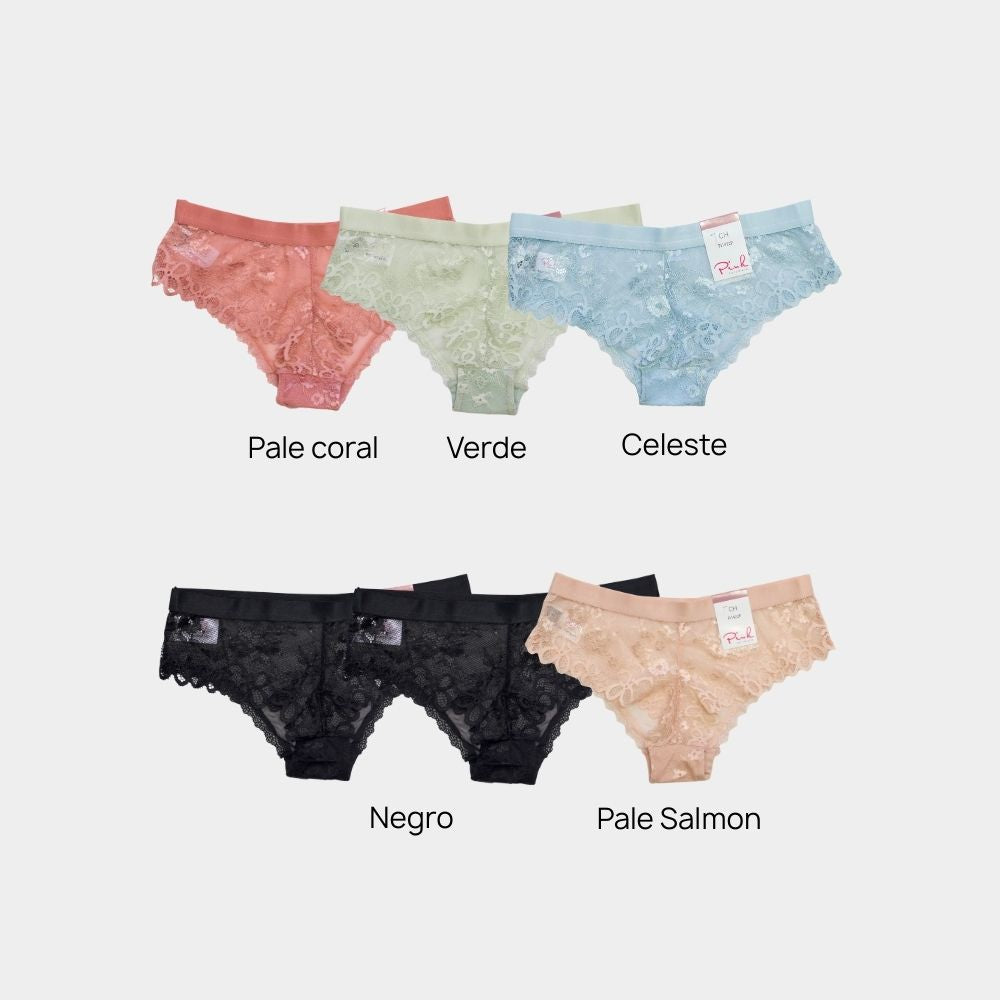 PANTY BIKINI ENCAJE Y MESH PI1422P