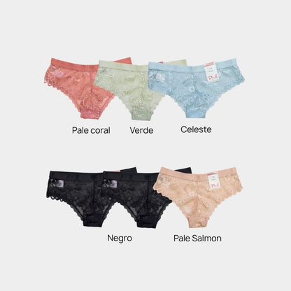 PANTY BIKINI ENCAJE Y MESH PI1422P